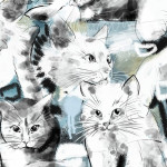 Bio Baumwolle Lillestoff - Graffitti Cat